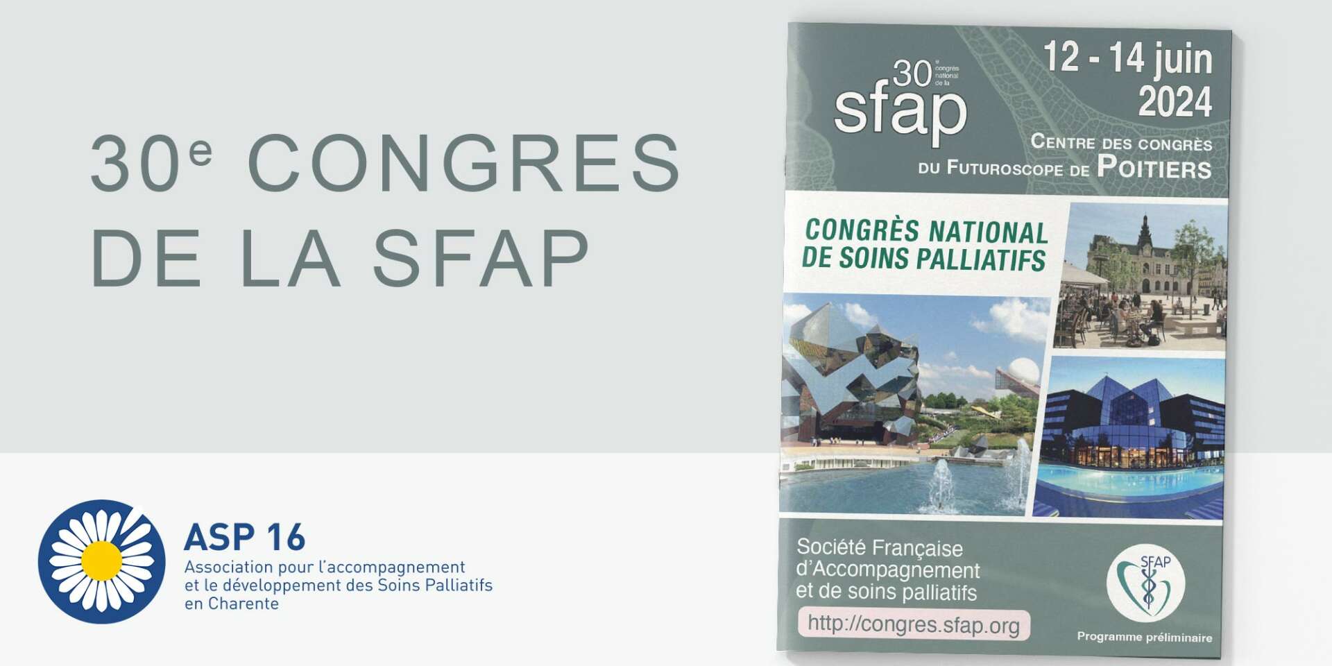 30e CONGRES DE LA SFAP